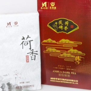 Lotus pachnąca herbata fuzhuan herbata hunan ahhua opieki zdrowotnej herbata czarna